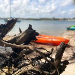 Pelican Sport Pulse 100X With Paddle Kayak -Top Pelican Gear Shop KOS10P102 00 LS4